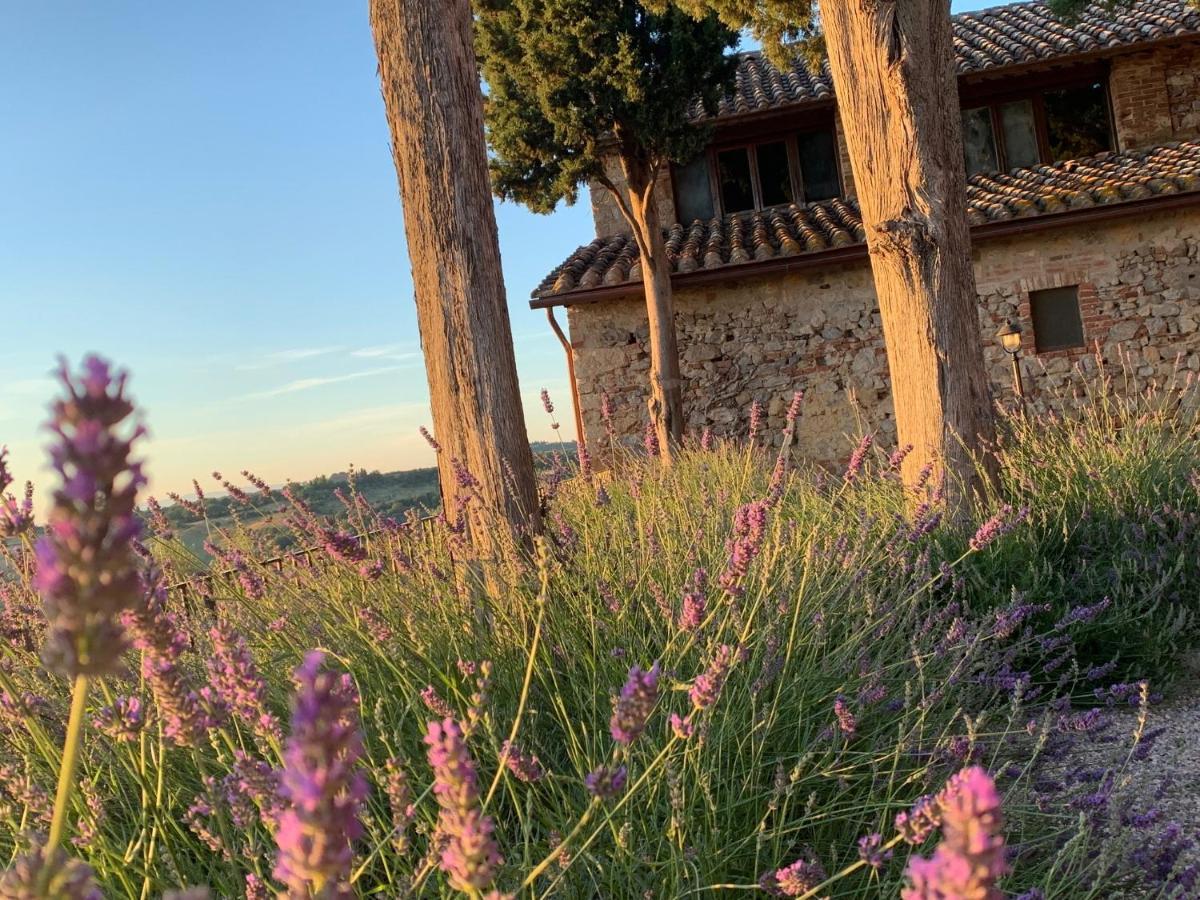 Fattoria Monastero Sant'Anna In Camprena Villa ปีเอนซา ภายนอก รูปภาพ