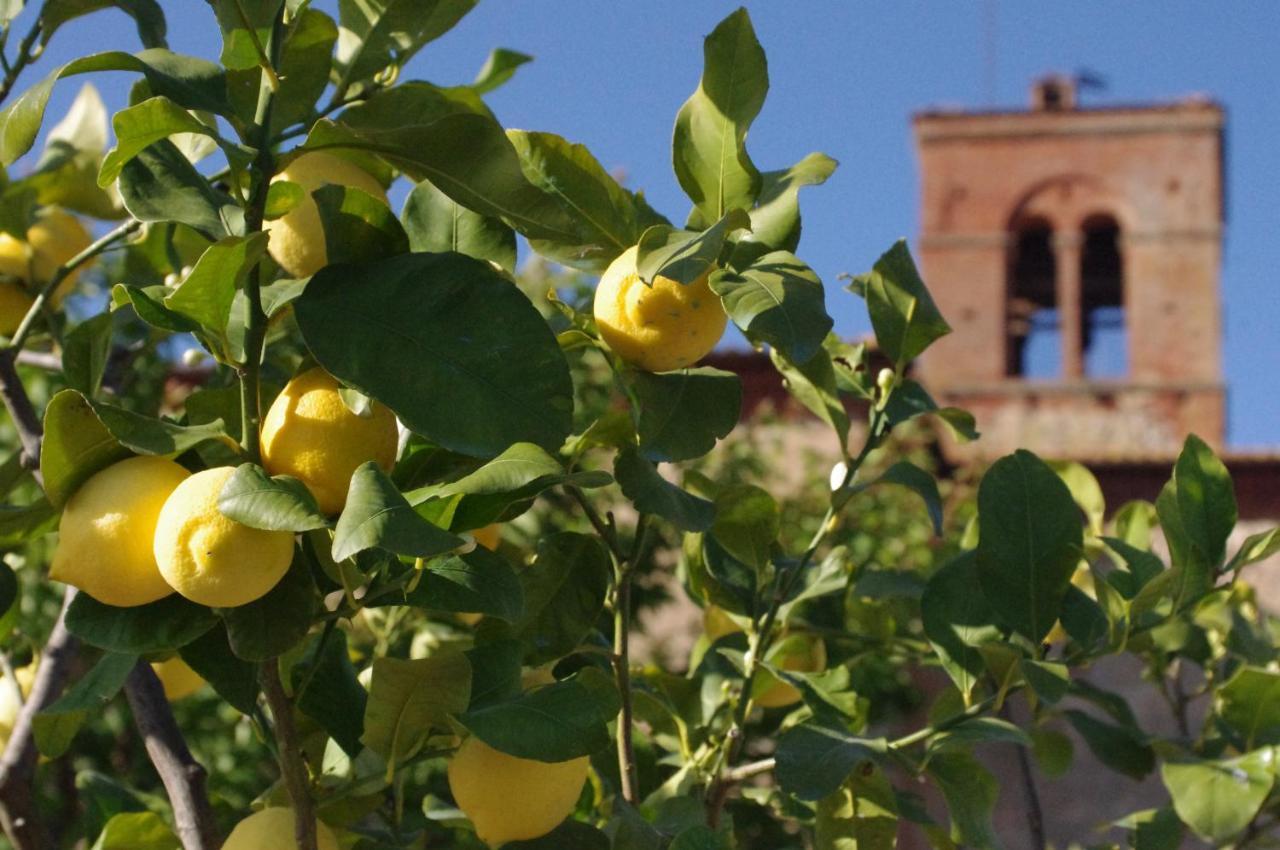 Fattoria Monastero Sant'Anna In Camprena Villa ปีเอนซา ภายนอก รูปภาพ